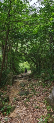Thumbnail of pic_XF_Liu_073.jpg