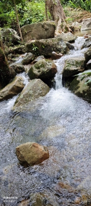 Thumbnail of pic_XF_Liu_078.jpg