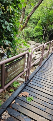 Thumbnail of pic_XF_Liu_079.jpg