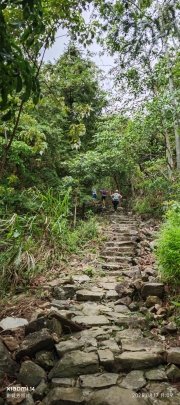 Thumbnail of pic_XF_Liu_080.jpg