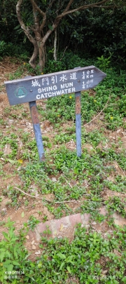 Thumbnail of pic_XF_Liu_097.jpg