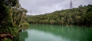 Thumbnail of pic_Cindy_Tse_003.jpg