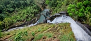 Thumbnail of pic_Cindy_Tse_004.jpg