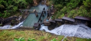 Thumbnail of pic_Cindy_Tse_005.jpg