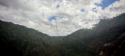 Thumbnail of pic_Cindy_Tse_007.jpg