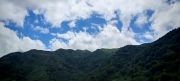 Thumbnail of pic_Cindy_Tse_018.jpg