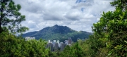 Thumbnail of pic_Cindy_Tse_027.jpg