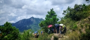 Thumbnail of pic_Cindy_Tse_028.jpg
