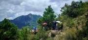 Thumbnail of pic_Cindy_Tse_029.jpg