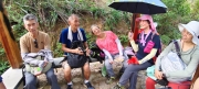Thumbnail of pic_Derek_Wong_036.jpg