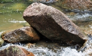 Thumbnail of pic_Lee_Shing_035.JPG