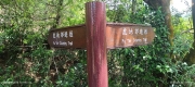 Thumbnail of pic_Mingle_Tam_007.jpg