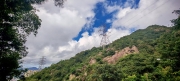 Thumbnail of pic_Cindy_Tse_001.jpg