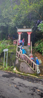Thumbnail of pic_Cindy_Tse_004.jpg