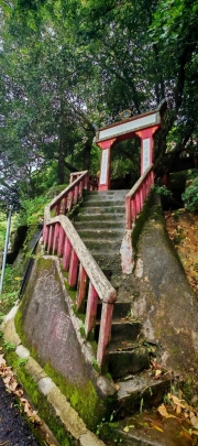Thumbnail of pic_Cindy_Tse_006.jpg