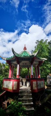Thumbnail of pic_Cindy_Tse_009.jpg