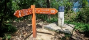 Thumbnail of pic_Cindy_Tse_015.jpg