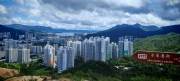 Thumbnail of pic_Cindy_Tse_017.jpg
