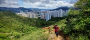 Thumbnail of pic_Cindy_Tse_021.jpg