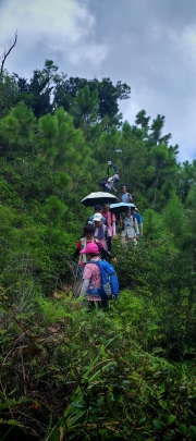 Thumbnail of pic_Cindy_Tse_041.jpg