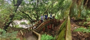 Thumbnail of pic_Derek_Wong_007.jpg