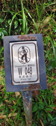 Thumbnail of pic_Derek_Wong_011.jpg