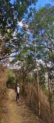 Thumbnail of pic_Derek_Wong_012.jpg
