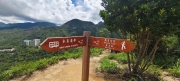 Thumbnail of pic_Derek_Wong_021.jpg
