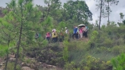Thumbnail of pic_Derek_Wong_028.jpg