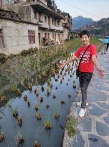 Thumbnail of 20250919_002.jpg