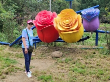 Thumbnail of 20250924_042.jpg