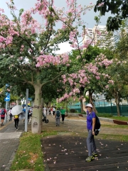 Thumbnail of PA120005.jpg