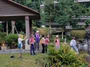 Thumbnail of PA120014.jpg