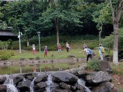 Thumbnail of PA120015.jpg