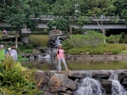 Thumbnail of PA120016.jpg