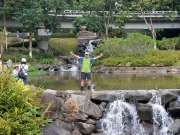 Thumbnail of PA120017.jpg