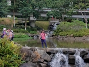 Thumbnail of PA120019.jpg