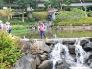 Thumbnail of PA120020.jpg