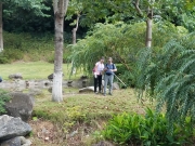 Thumbnail of PA120031.jpg