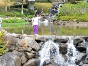 Thumbnail of PA120033.jpg