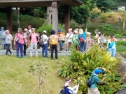 Thumbnail of PA120035.jpg