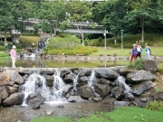 Thumbnail of PA120040.jpg