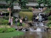 Thumbnail of PA120042.jpg