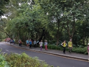 Thumbnail of PA120065.jpg