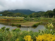 Thumbnail of PA120076.jpg