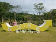 Thumbnail of PA120088.jpg