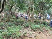 Thumbnail of PA120112.jpg