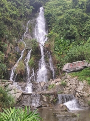 Thumbnail of pic_Anissa_Yip_004.jpg