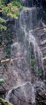 Thumbnail of pic_Cindy_Tse_005.jpg