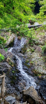 Thumbnail of pic_Cindy_Tse_006.jpg